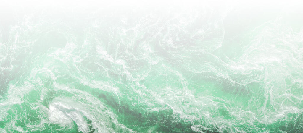 APPI ocean header image